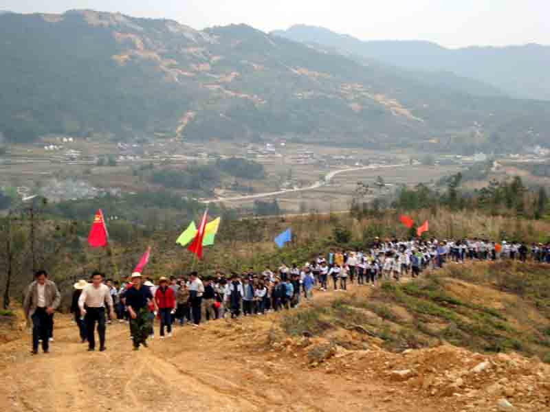 平远县东石镇青年团员积极开展义务植树活动