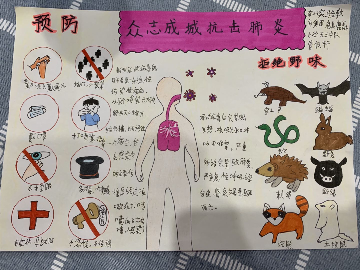 深圳市南山实验教育集团麒麟小学防疫行动手抄报,绘画