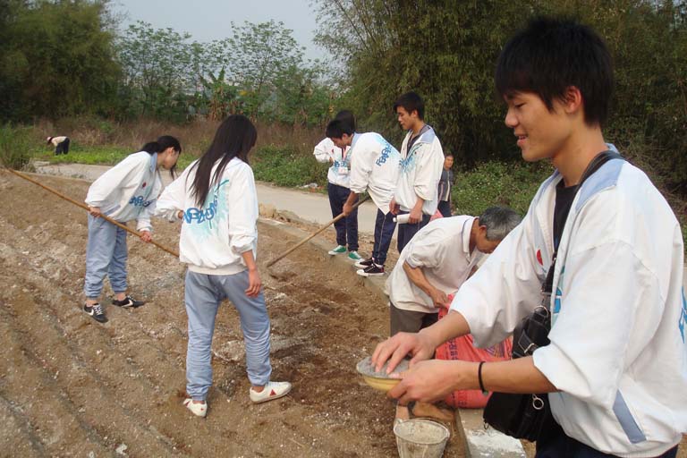 清远凤霞中学图片